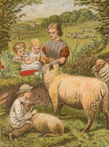 Piccolo Agnellino da English School